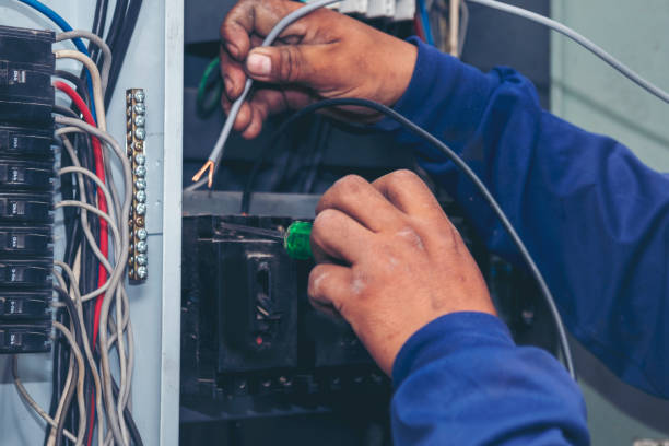 Best Residential Electrician Services  in Washoe Valley, NV