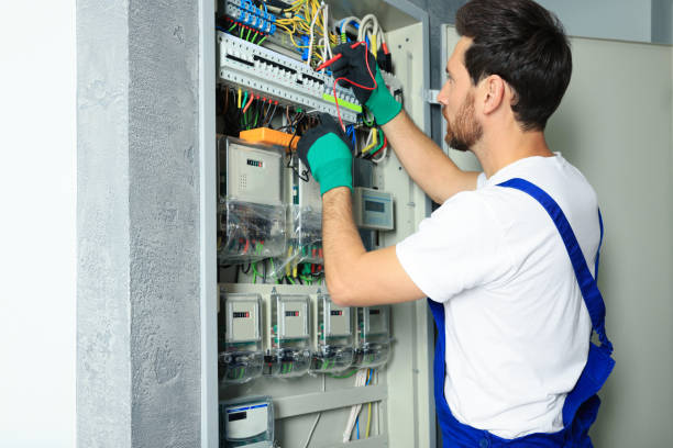 Best Electric Panel Repair  in Washoe Valley, NV